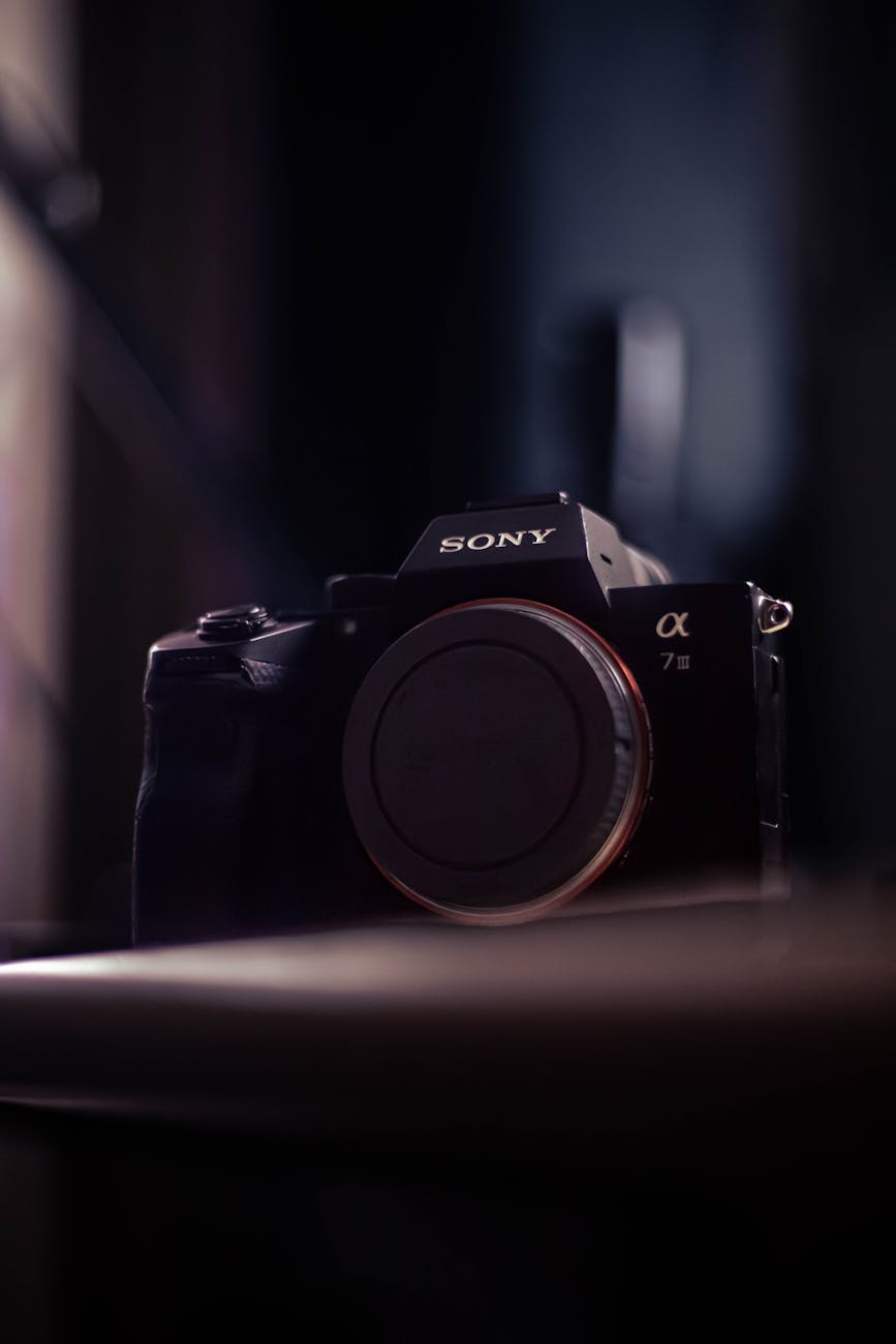Camera Carbon Footprint 2025: New vs Secondhand - Dutch|Thrift