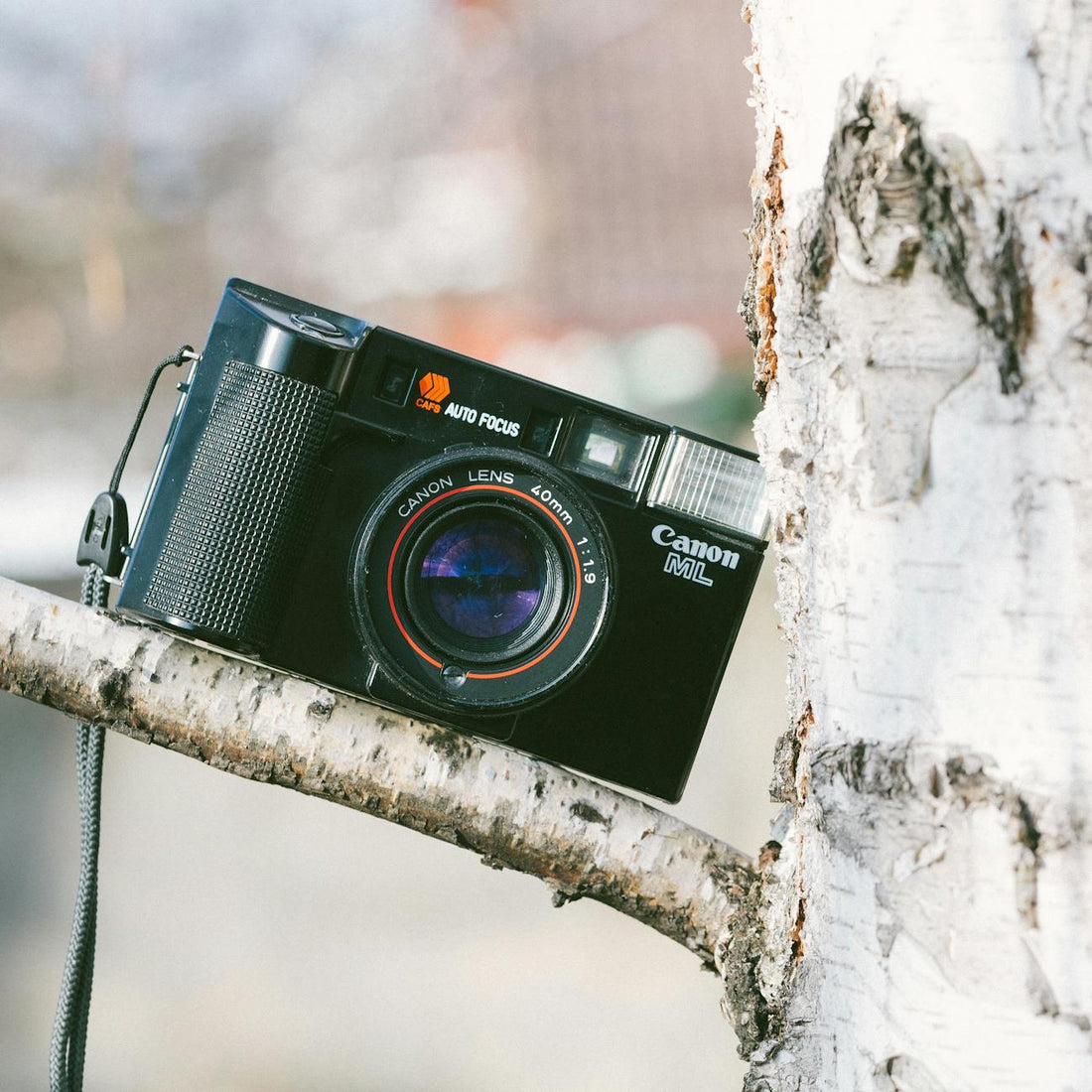 How to Buy a Vintage 35mm Point‑and‑Shoot in 2025 - Dutch|Thrift